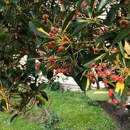 Banos And Swimming Pool 罗达