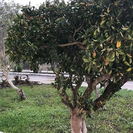 Banos And Swimming Pool 公寓 罗达